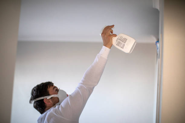 Office Mold Removal Services in Lake City, PA