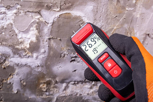 Trusted Lake City, PA Mold Removal Experts